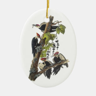 Pileated Woodpecker van Audubon Keramisch Ornament