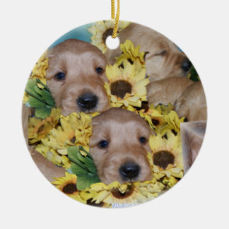 Piles des chiots en ornement de Noël de fleurs