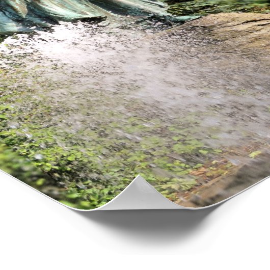 Pilgrim Maiden, Brewster Gardens, impression Plymo (Coin)