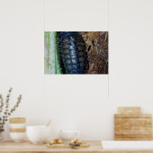 Pill Bug (photo) - Affiche (Cuisine)