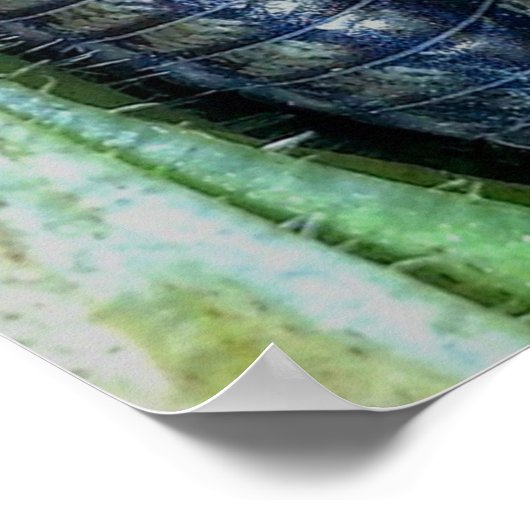 Pill Bug (photo) - Poster (Coin)