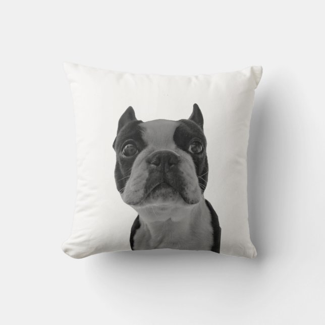 pillow boston doodsbang kussen (Voorkant)