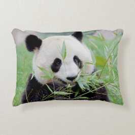Pillow, gigantisch panda. accent kussen
