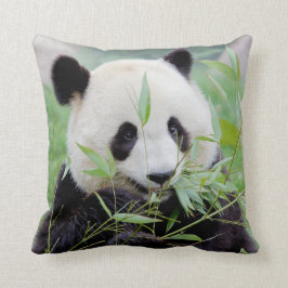 Pillow, gigantisch panda. kussen