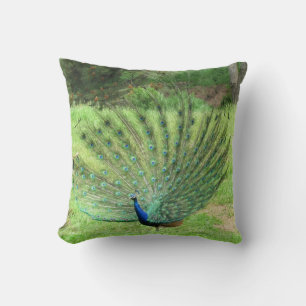 Pillow - Peacock Kussen
