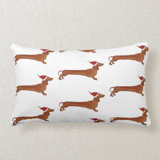 Piloot met dachshund kussen