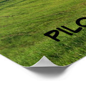 PILOT MOUNTAIN, NOORD CAROLINA POSTER (Hoek)