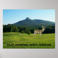 PILOT MOUNTAIN, NOORD CAROLINA
