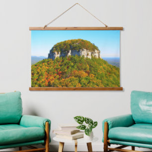 Pilot Mountain State Park in North Carolina Hangend Wandkleed