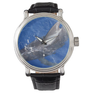 Pilot Whale in Hawaï Horloge