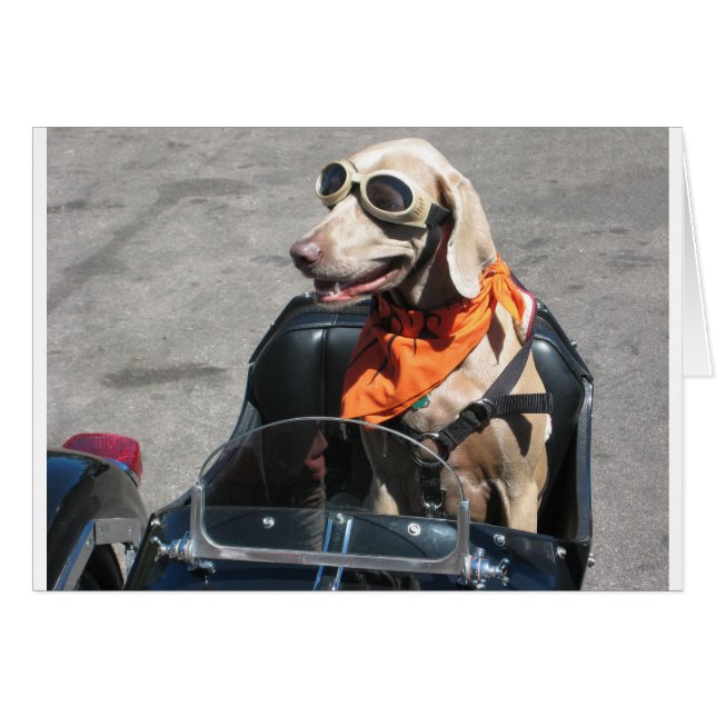 Pilote facile (Devant horizontal)