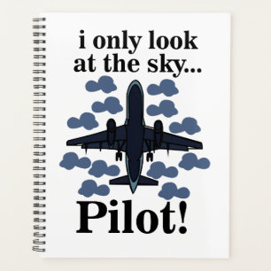 Pilote Je Ne Regarde Que Le Pilote Ciel