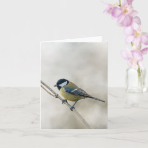 Pimpelmees, minimalistische winter natuur kaart