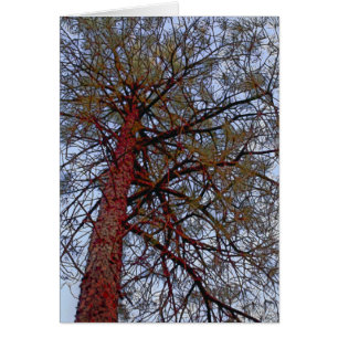 Pin avec tronc rouge