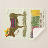 Pin de staart op de ezel sherpa deken (Voorkant (horizontaal))