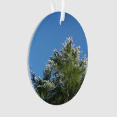 pin Neige-incliné sur le ciel bleu (devant)