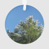 pin Neige-incliné sur le ciel bleu (dos)