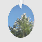 pin Neige-incliné sur le ciel bleu (devant)