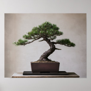 Pin noir japonais Bonsaï Art mural zen