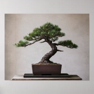 Pin noir japonais Bonsaï | Art mural zen