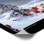 Pin solitaire dans un ciel peint - Poster d'art (Coin)