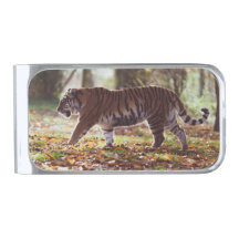 Clip argent de Tiger à pied