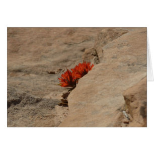 Pinceau indien dans les rochers à Zion
