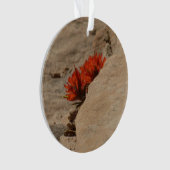 Pinceau indien en roche à Sion (devant)