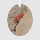 Pinceau indien en roche à Sion (devant)