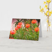 Pincushion Tango #1 Kaart (Gele Bloem)