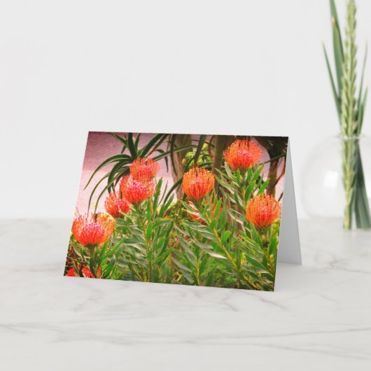 Pincushion Tango #1 Kaart (Voorkant)