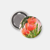 Pincushion Tango #1 Magnet Magneet (Voorkant / Achterkant)