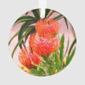 Pincushion Tango #1 Ornament (achterkant)