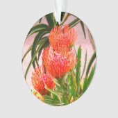 Pincushion Tango #1 Ornament (voorkant)