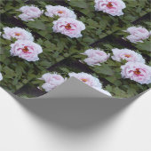  pinda's cadeaupapier (Hoek)