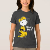 pinda's | Charlie Brown Baseball Game Tri-Blend Shirt (Voorkant)