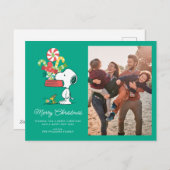 Pinda's | Hoe meer zielen, hoe meer vreugd Feestdagenkaart (Voorkant / Achterkant)