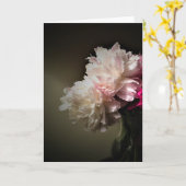 pinda's, kaart (Gele Bloem)
