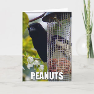 Pinda's of taart ekster verjaardag Kaart