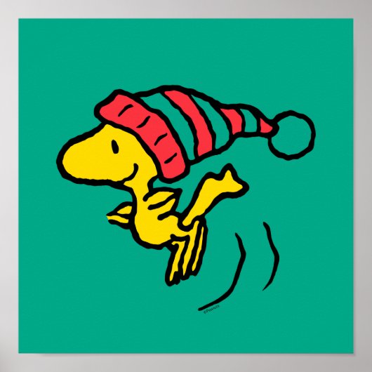 pinda's | Pet Woodstock Winter Beanie Poster (Voorkant)