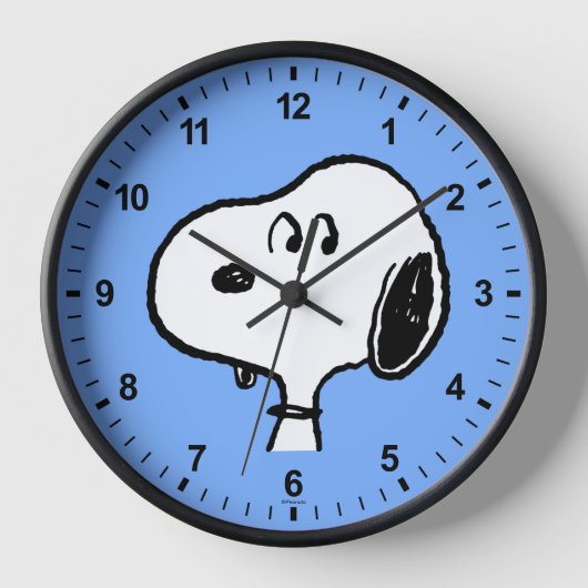 pinda's | Snoopy-beelden (Voorkant)