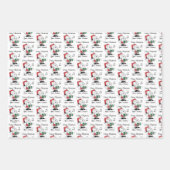 pinda's | Snoopy Santa Claus Accordian Inpakpapier Vel (Voorkant)