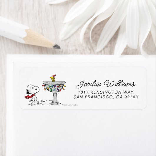 pinda's | Snoopy & Woodstock Frozen Birdbath Etiket (Insitu)