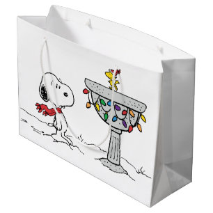 pinda's   Snoopy & Woodstock Frozen Birdbath Groot Cadeauzakje