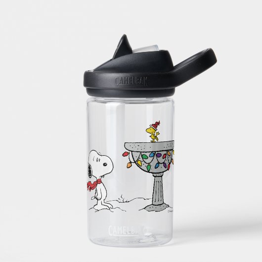 pinda's | Snoopy & Woodstock Frozen Birdbath Waterfles (Links)