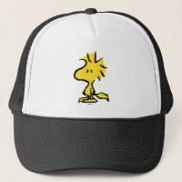 pinda's | Snoopy's Friend Woodstock