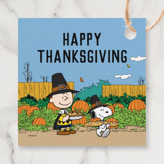 pinda's | Thanksgiving Charlie Brown Bedankjes Labels (Achterkant)