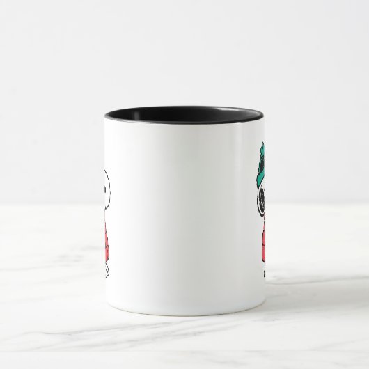 pinda's | wintermunt en -Pet Mok (Midden)