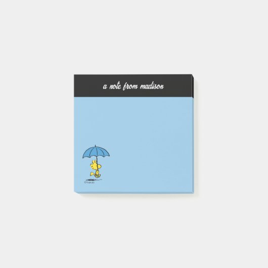 pinda's | Woodstock Blue Umbrella Post-it® Notes (Voorkant)