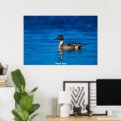 Pindenduck Poster (Thuiskantoor)